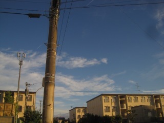 団地.jpeg