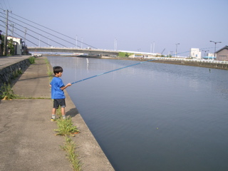 IMGP3668.jpg