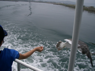 IMGP3707.jpg