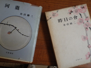 IMGP5331.JPG