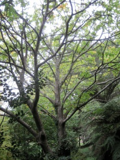 IMG_2750.jpeg