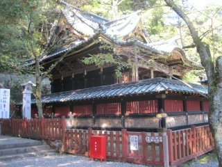 IMG_3540.jpeg