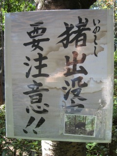 IMG_3545.jpeg