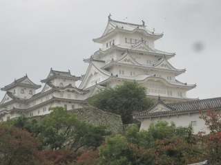 IMG_3622.jpeg