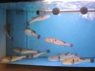 IMG_3683.jpeg