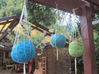 IMG_3765.jpeg
