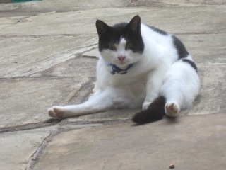 IMG_3771.jpeg