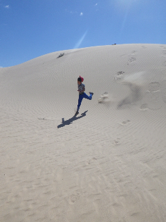 dune.jpg