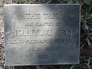 seki.jpg